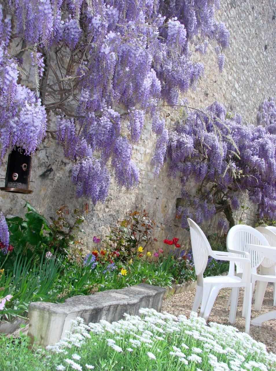 Hotel De La Ferte Chagny  Exterior foto